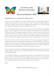 summer bulletin thumbnail